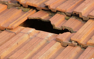 roof repair Little Ness, Shropshire